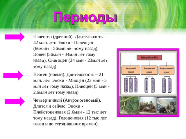 Палеоген (древний). Длительность – 42 млн. лет. Эпохи - Палеоцен (66млнт - 56млн лет тому назад), Эоцен (56млн - 34млн лет тому назад), Олигоцен (34 млн - 23млн лет тому назад) Неоген (новый). Длительность – 21 млн. лет. Эпохи - Миоцен (23 млн - 5 млн лет тому назад), Плиоцен (5 млн - 2,6млн лет тому назад) Четвертичный (Антропогеновый). Длится и сейчас. Эпохи - Плейстоценовая (2,6млн - 12 тыс лет тому назад), Голоценовая (12 тыс лет назад и до сегодняшних времен ).  