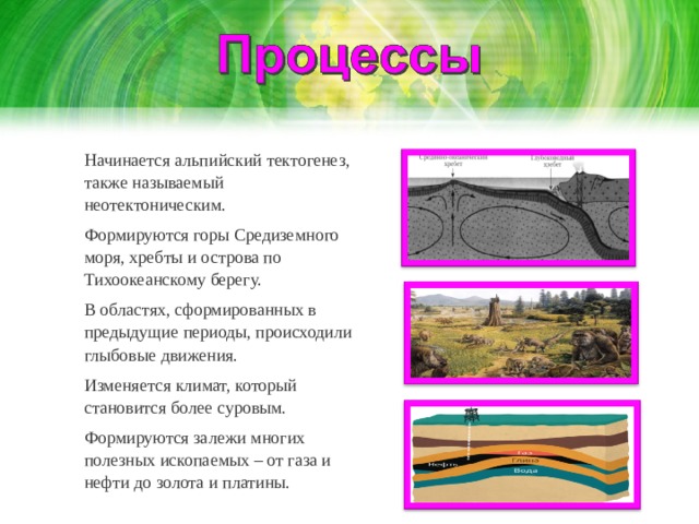 Начинается альпийский тектогенез, также называемый неотектоническим. Формируются горы Средиземного моря, хребты и острова по Тихоокеанскому берегу. В областях, сформированных в предыдущие периоды, происходили глыбовые движения. Изменяется климат, который становится более суровым. Формируются залежи многих полезных ископаемых – от газа и нефти до золота и платины.  