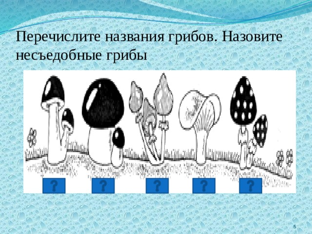 Перечислите названия грибов. Назовите несъедобные грибы 2 