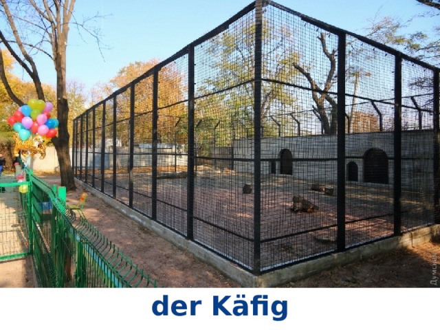 der Käfig 