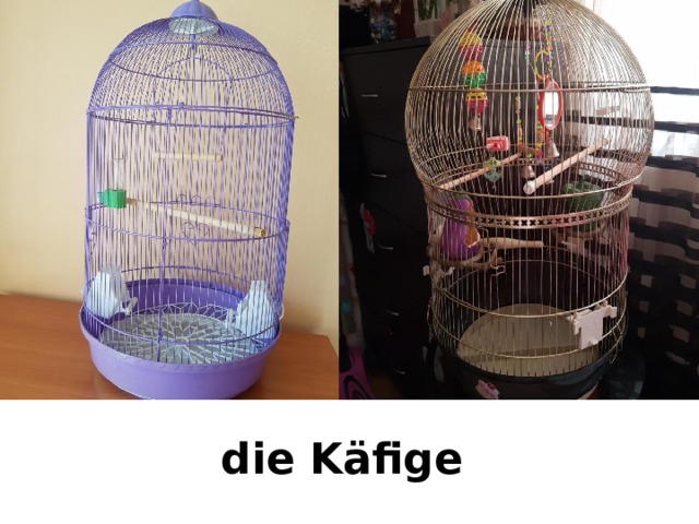 die Käfige 