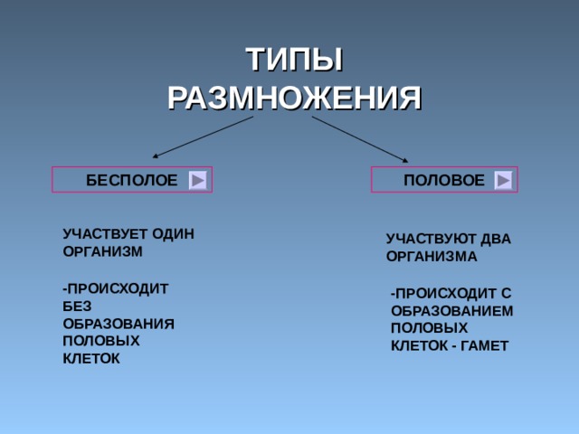 ТИПЫ РАЗМНОЖЕНИЯ БЕСПОЛОЕ ПОЛОВОЕ УЧАСТВУЕТ ОДИН ОРГАНИЗМ УЧАСТВУЮТ ДВА ОРГАНИЗМА -ПРОИСХОДИТ БЕЗ ОБРАЗОВАНИЯ ПОЛОВЫХ КЛЕТОК -ПРОИСХОДИТ С ОБРАЗОВАНИЕМ ПОЛОВЫХ КЛЕТОК - ГАМЕТ 