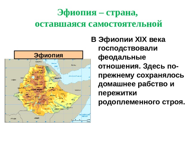 Эфиопия – страна, оставшаяся самостоятельной В Эфиопии XIX века господствовали феодальные отношения. Здесь по-прежнему сохранялось домашнее рабство и пережитки родоплеменного строя. Эфиопия 