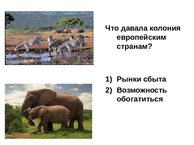  Что давала колония европейским странам?   Рынки сбыта Возможность обогатиться 