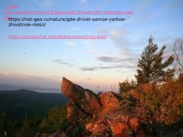 https://ecoportal.info/dalnevostochnyj-aist/ https ://dv.land/territory/13-glavnykh-zhivotnykh-dalnego-vostoka https://nat-geo.ru/nature/gde-zhivet-samoe-yarkoe-zhivotnoe-rossii/ 
