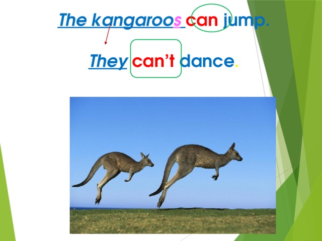 The kangaroo s  can  jump.  They  can’t  dance . 