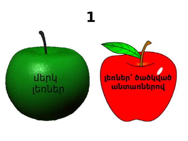 1 մերկ լեռներ  լեռներ՝ ծածկված անտառներով 