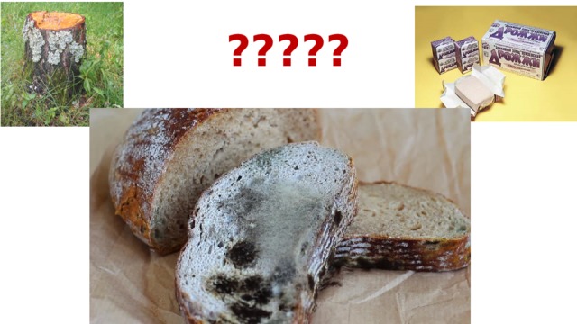????? 