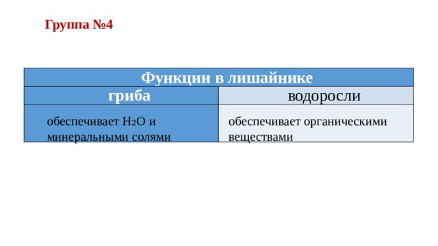 Группа №4    Функции в лишайнике гриба водоросли    обеспечивает Н₂О и минеральными солями обеспечивает органическими веществами 