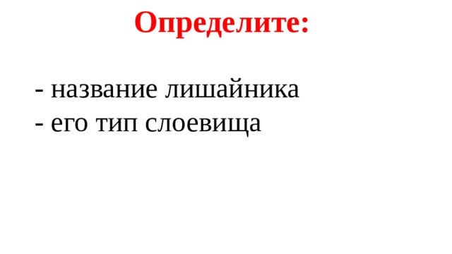 Определите:   - название лишайника  - его тип слоевища   