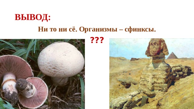 ВЫВОД: Ни то ни сё. Организмы – сфинксы. ???  
