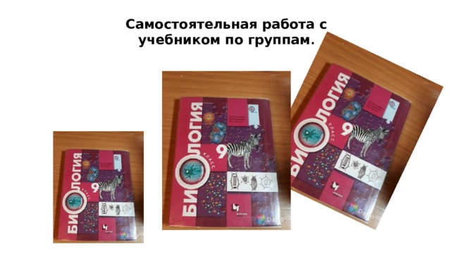 Самостоятельная работа с учебником по группам . 