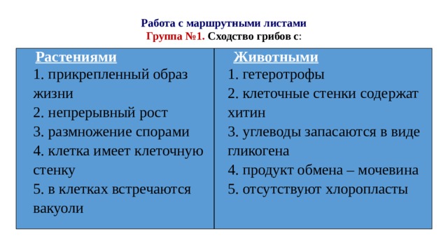Работа с маршрутными листами  Группа №1. Сходство грибов с :   Растениями  Животными     1. гетеротрофы 1. прикрепленный образ жизни 2. непрерывный рост 2. клеточные стенки содержат хитин 3. углеводы запасаются в виде гликогена 3. размножение спорами 4. клетка имеет клеточную стенку 4. продукт обмена – мочевина 5. в клетках встречаются вакуоли 5. отсутствуют хлоропласты 