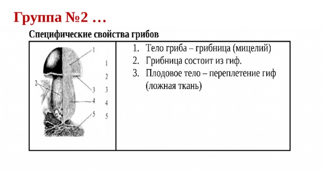 Группа №2 … 