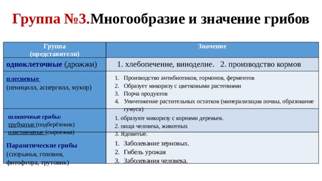 Группа №3. Многообразие и значение грибов Группа (представители) Значение одноклеточные (дрожжи) 1. хлебопечение, виноделие. 2. производство кормов Производство антибиотиков, гормонов, ферментов Образует микоризу с цветковыми растениями Порча продуктов Уничтожение растительных остатков (минерализация почвы, образование гумуса) плесневые (пеницилл, аспергилл, мукор) шляпочные грибы: трубчатые (подберёзовик) пластинчатые (сыроежка) 1. образуют микоризу с корнями деревьев. 2. пища человека, животных 3. Ядовитые. Заболевание зерновых. Гибель урожая Заболевания человека. Паразитические грибы (спорынья, головня, фитофтора, трутовик) 