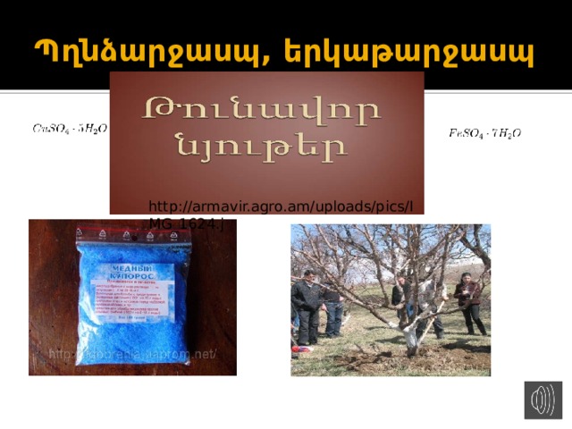 Պղնձարջասպ, երկաթարջասպ http://armavir.agro.am/uploads/pics/IMG_1624.j 