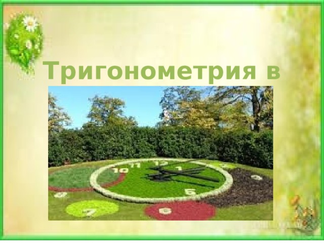Тригонометрия в биологии 