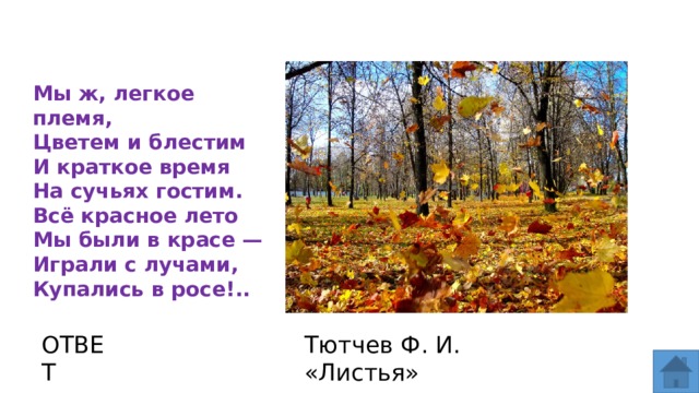 Мы ж, легкое племя,  Цветем и блестим  И краткое время  На сучьях гостим.  Всё красное лето  Мы были в красе —  Играли с лучами,  Купались в росе!.. ОТВЕТ Тютчев Ф. И. «Листья»  
