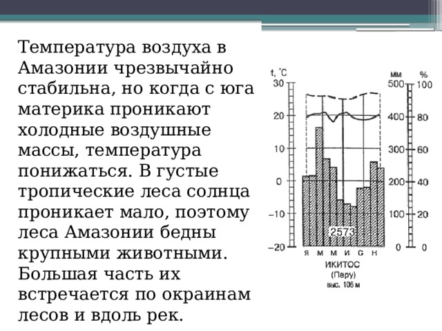Температура воздуха в Амазонии чрезвычайно стабильна, но когда с юга материка проникают холодные воздушные массы, температура понижаться. В густые тропические леса солнца проникает мало, поэтому леса Амазонии бедны крупными животными. Большая часть их встречается по окраинам лесов и вдоль рек. 