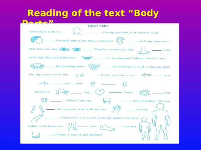  Reading of the text “Body Parts”  