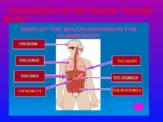  Introduction on the theme “Human Body”  