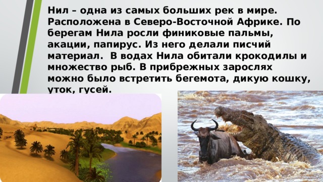 Нил – одна из самых больших рек в мире. Расположена в Северо-Восточной Африке. По берегам Нила росли финиковые пальмы, акации, папирус. Из него делали писчий материал. В водах Нила обитали крокодилы и множество рыб. В прибрежных зарослях можно было встретить бегемота, дикую кошку, уток, гусей. 