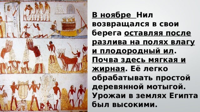 В ноябре Нил возвращался в свои берега оставляя после разлива на полях влагу и плодородный ил . Почва здесь мягкая и жирная . Её легко обрабатывать простой деревянной мотыгой. Урожаи в землях Египта был высокими. 