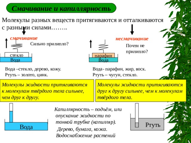 Смачивание и капиллярность смачивание несмачивание Сильно прилипло? Почти не прилипло? стекло парафин Вода Вода Вода –стекло, дерево, кожу. Ртуть – золото, цинк. Вода- парафин, жир, воск. Ртуть – чугун, стекло. Молекулы жидкости притягиваются к молекулам твёрдого тела сильнее, чем друг к другу. Молекулы жидкости притягиваются друг к другу сильнее, чем к молекулам твёрдого тела. Капиллярность – подъём, или  опускание жидкости по  тонкой трубке (капилляр).  Дерево, бумага, кожа. Водоснабжение растений 