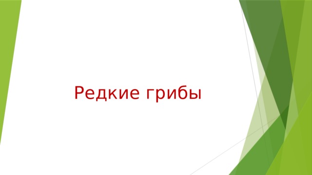Редкие грибы 