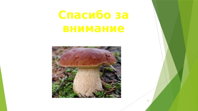 Спасибо за внимание  
