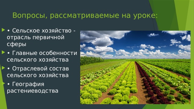 Вопросы, рассматриваемые на уроке: • Сельское хозяйство - отрасль первичной сферы • Главные особенности сельского хозяйства • Отраслевой состав сельского хозяйства • География растениеводства 