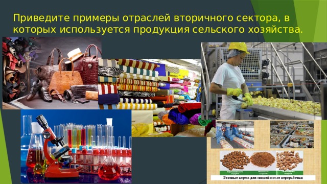 Приведите примеры отраслей вторичного сектора, в  которых используется продукция сельского хозяйства.   