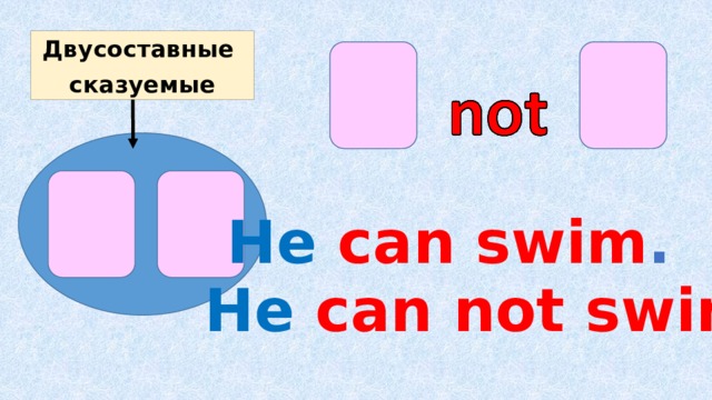 Двусоставные сказуемые     He can swim . He can not swim .