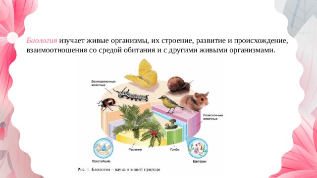 Биология   изучает живые организмы, их строение, развитие и происхождение, взаимоотношения со средой обитания и с другими живыми организмами.  
