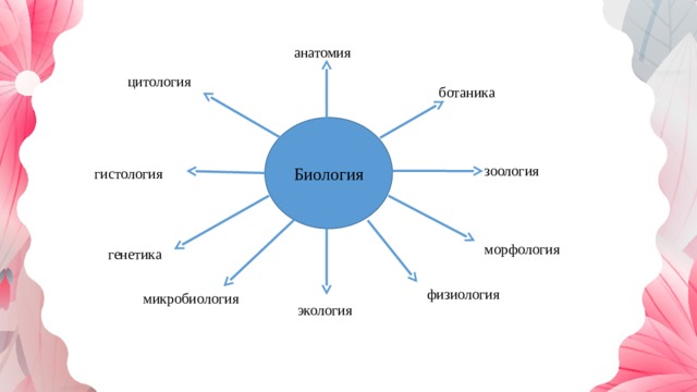 анатомия цитология ботаника Биология зоология гистология морфология генетика физиология микробиология экология 