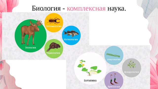 Биология - комплексная наука. 