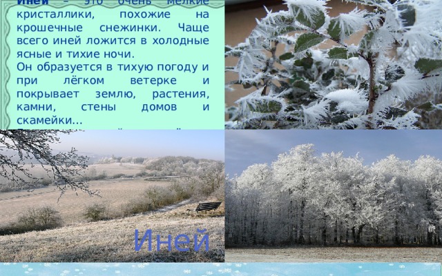 Иней – это очень мелкие кристаллики, похожие на крошечные снежинки. Чаще всего иней ложится в холодные ясные и тихие ночи. Он образуется в тихую погоду и при лёгком ветерке и покрывает землю, растения, камни, стены домов и скамейки… Говорят, что иней – это твёрдая роса. Иней 