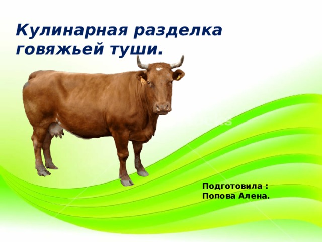 Кулинарная разделка говяжьей туши. Подготовила : Попова Алена. 