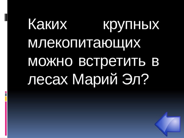 Каких  крупных млекопитающих можно встретить в лесах Марий Эл?