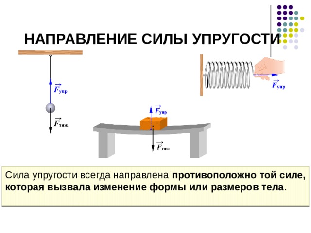 Направление силы упругости Рассматривая взаимодействие бруска и поверхности стола или ша­рика, подвешенного на прочной нити, мы не можем визуально увидеть деформацию опоры или нити. В этом случае силу упругости называют силой реакции опоры. Сила упругости всегда направлена противоположно той силе, которая вызвала изменение формы или размеров тела. Сила упругости всегда направлена противоположно той силе, которая вызвала изменение формы или размеров тела .  