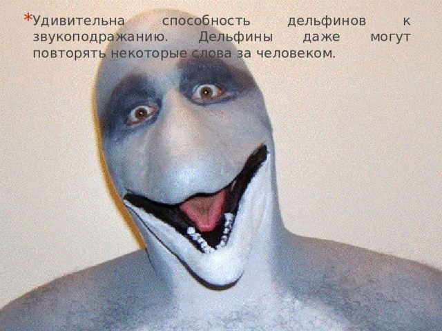 Удивительна способность дельфинов к звукоподражанию. Дельфины даже могут повторять некоторые слова за человеком. 