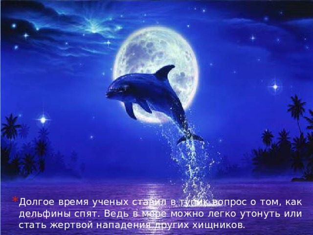 Долгое время ученых ставил в тупик вопрос о том, как дельфины спят. Ведь в море можно легко утонуть или стать жертвой нападения других хищников. 