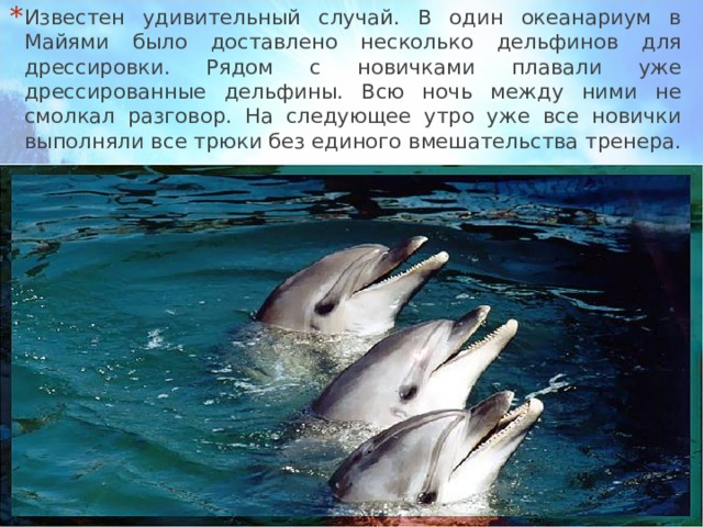 Известен удивительный случай. В один океанариум в Майями было доставлено несколько дельфинов для дрессировки. Рядом с новичками плавали уже дрессированные дельфины. Всю ночь между ними не смолкал разговор. На следующее утро уже все новички выполняли все трюки без единого вмешательства тренера. 