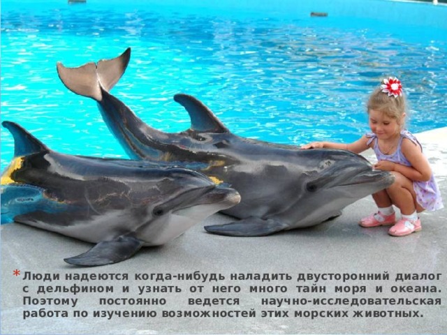 Люди надеются когда-нибудь наладить двусторонний диалог с дельфином и узнать от него много тайн моря и океана. Поэтому постоянно ведется научно-исследовательская работа по изучению возможностей этих морских животных. 