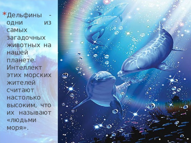 Дельфины - одни из самых загадочных животных на нашей планете. Интеллект этих морских жителей считают настолько высоким, что их называют «людьми моря». 