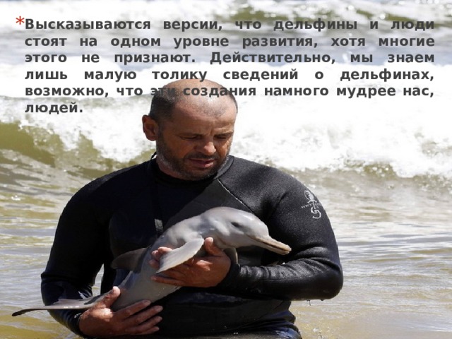 Высказываются версии, что дельфины и люди стоят на одном уровне развития, хотя многие этого не признают. Действительно, мы знаем лишь малую толику сведений о дельфинах, возможно, что эти создания намного мудрее нас, людей. 