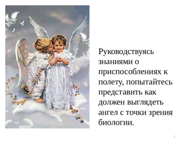 Руководствуясь знаниями о приспособлениях к полету, попытайтесь представить как должен выглядеть ангел с точки зрения биологии.  