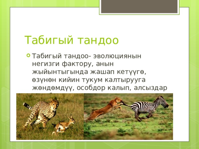 Табигый тандоо Табигый тандоо- эволюциянын негизги фактору, анын жыйынтыгында жашап кетүүгө, өзүнөн кийин тукум калтырууга жөндөмдүү, особдор калып, алсыздар жок болот. 