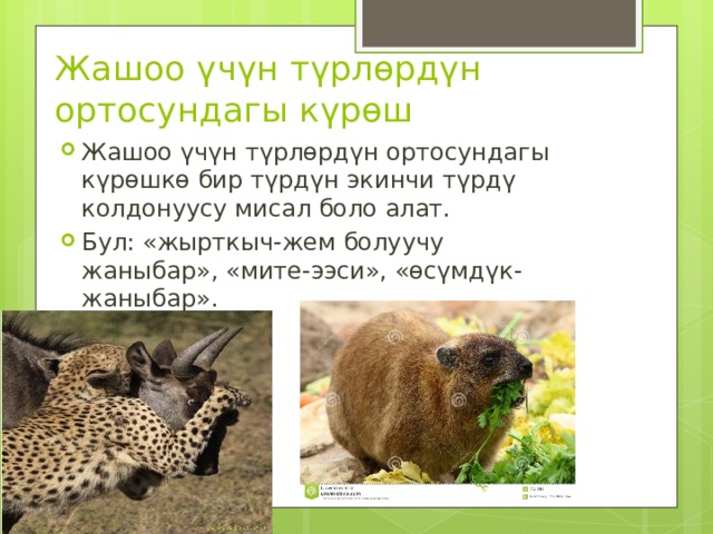 Жашоо үчүн түрлөрдүн ортосундагы күрөш Жашоо үчүн түрлөрдүн ортосундагы күрөшкө бир түрдүн экинчи түрдү колдонуусу мисал боло алат. Бул: «жырткыч-жем болуучу жаныбар», «мите-ээси», «өсүмдүк-жаныбар». 