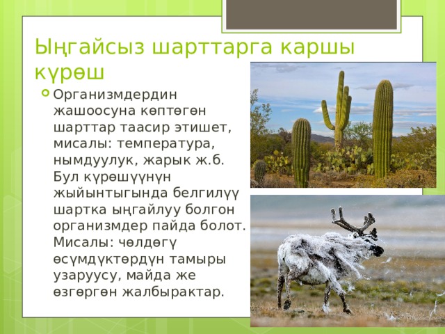 Ыңгайсыз шарттарга каршы күрөш Организмдердин жашоосуна көптөгөн шарттар таасир этишет, мисалы: температура, нымдуулук, жарык ж.б. Бул күрөшүүнүн жыйынтыгында белгилүү шартка ыңгайлуу болгон организмдер пайда болот. Мисалы: чөлдөгү өсүмдүктөрдүн тамыры узаруусу, майда же өзгөргөн жалбырактар. 